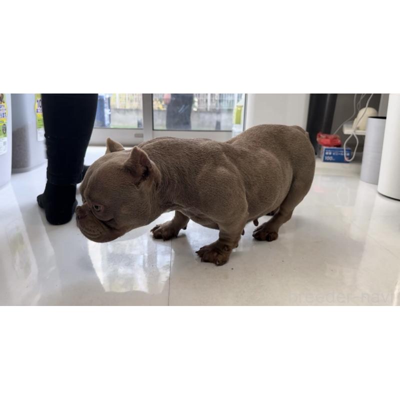 MARE(メア)ちゃん1枚目