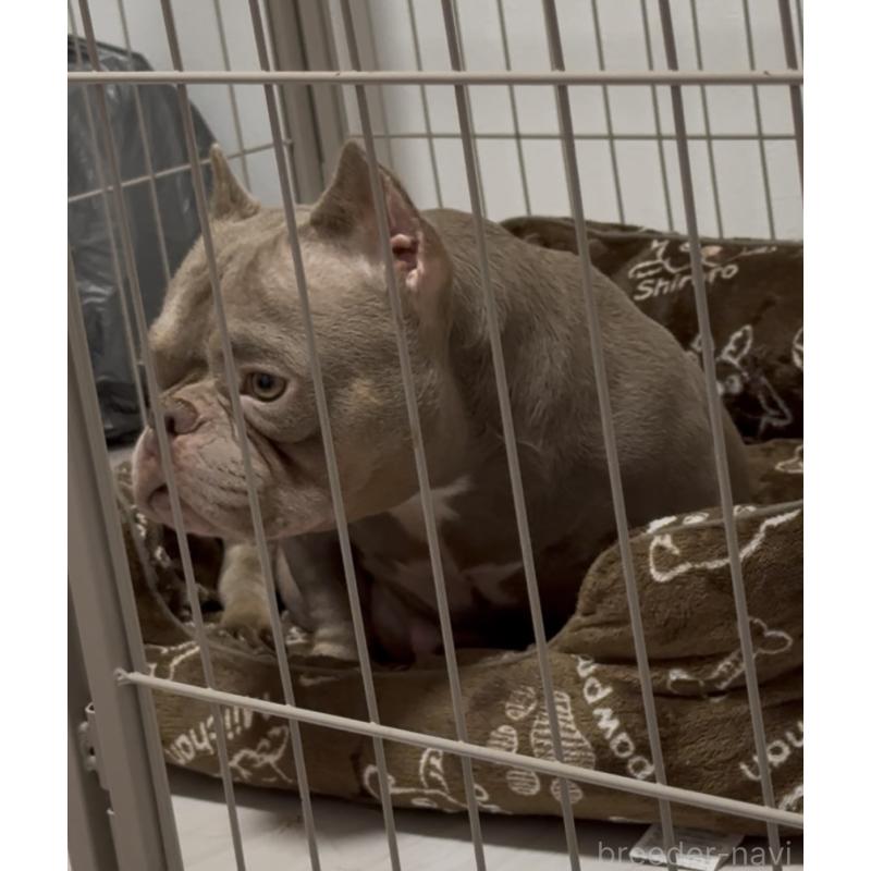 MARE(メア)ちゃん1枚目