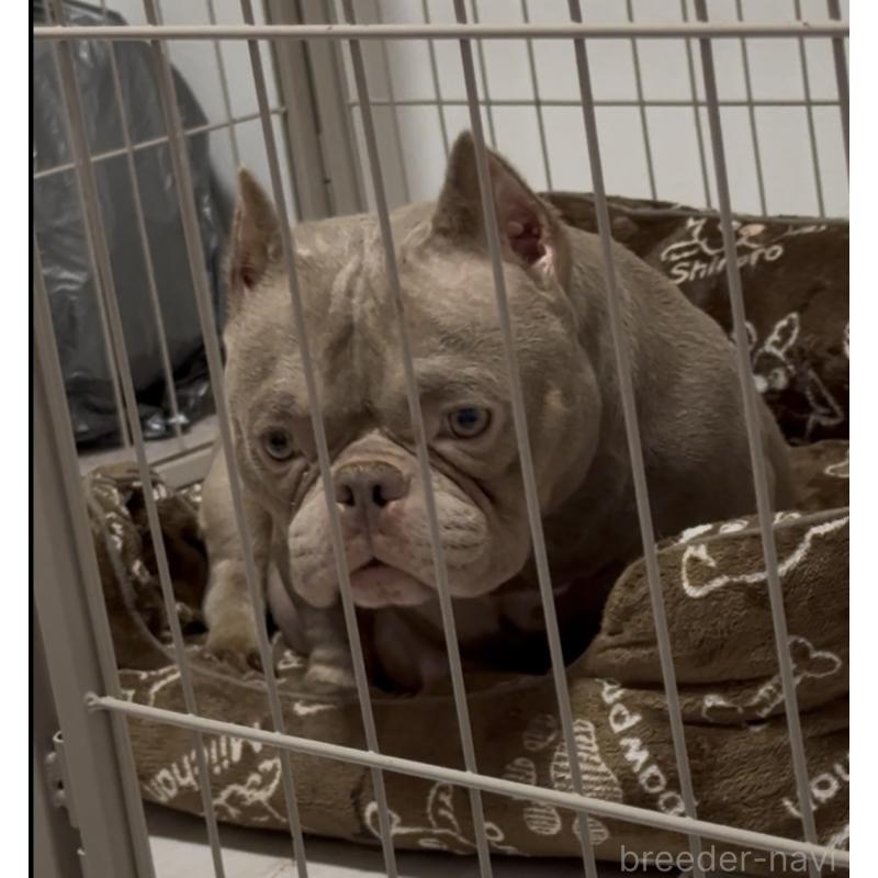 MARE(メア)ちゃん1枚目