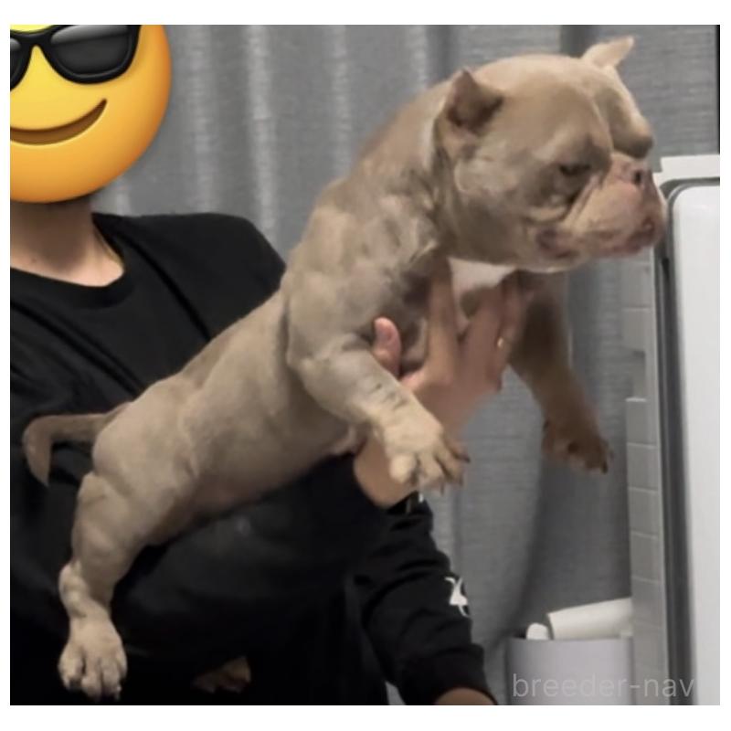 MARE(メア)ちゃん1枚目