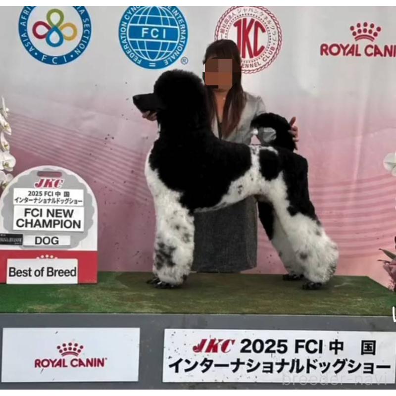 ウェーブくん1枚目