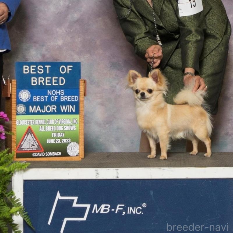 ハーウイくん1枚目