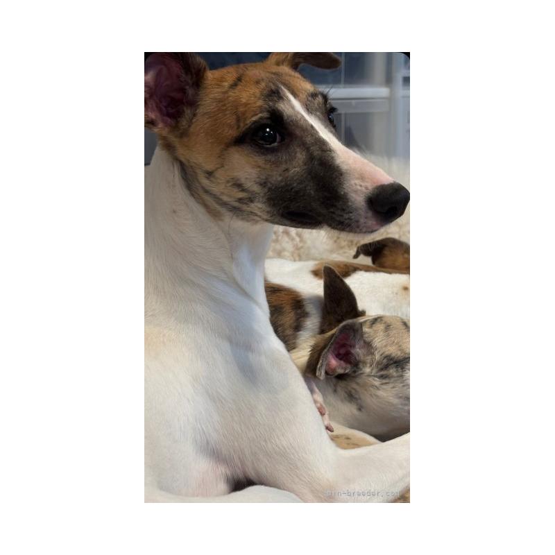 セイナちゃん1枚目