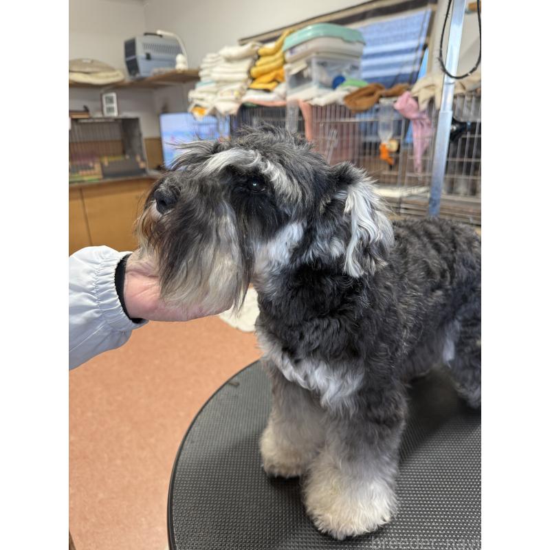 アビちゃん1枚目