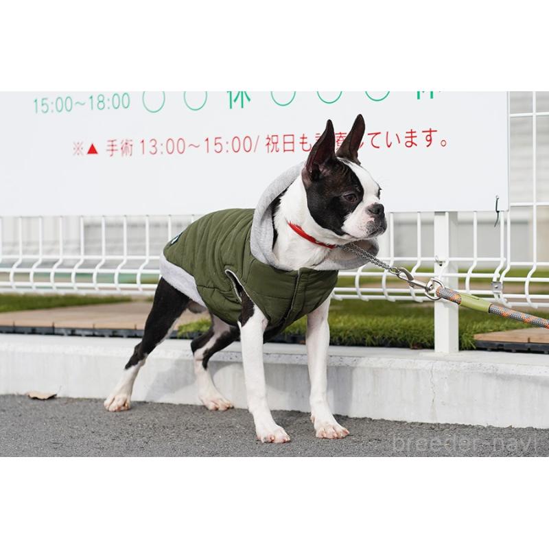 販売中の京都府のボストンテリア-402501の5枚目