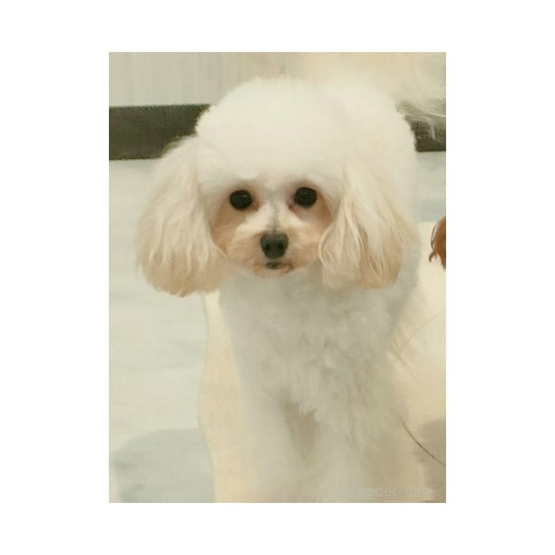 たかこちゃん1枚目