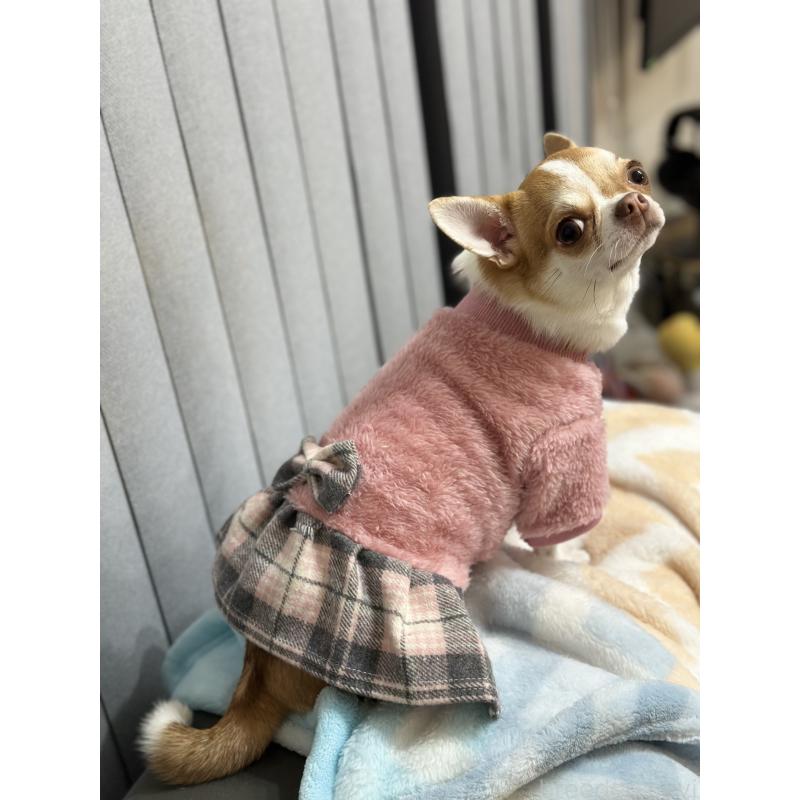 ボニーちゃん1枚目