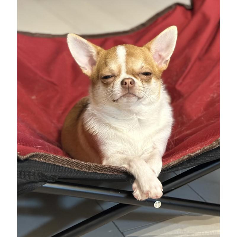 ボニーちゃん1枚目