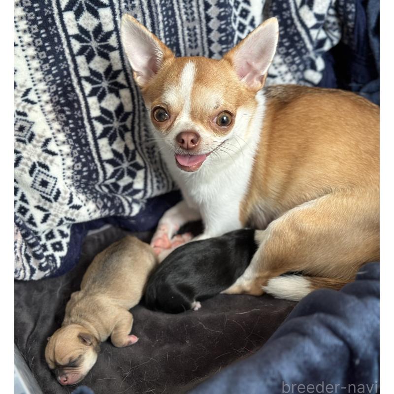 ボニーちゃん1枚目