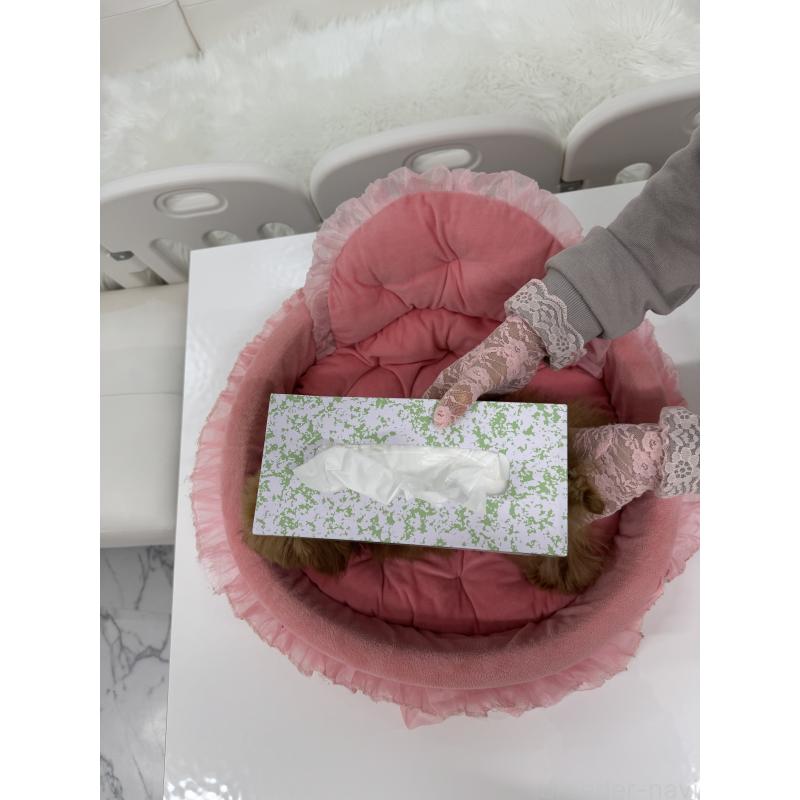 販売中の山梨県のティーカッププードル-422504の2枚目