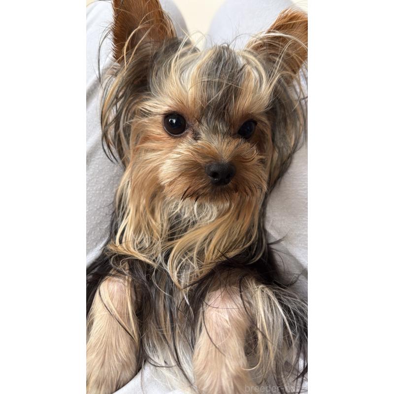 るあ君くん1枚目