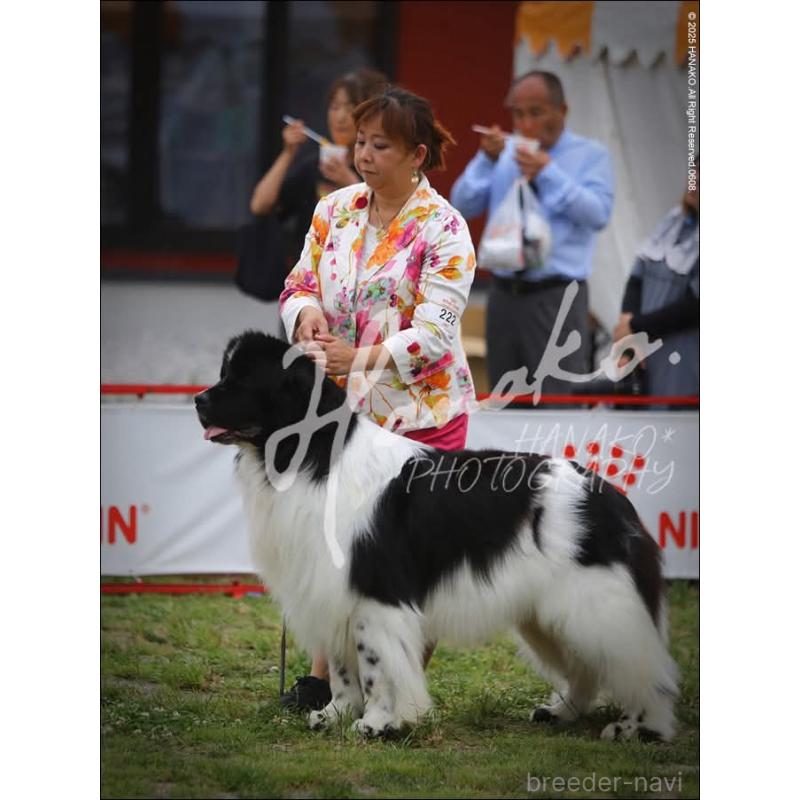 バロンくん1枚目