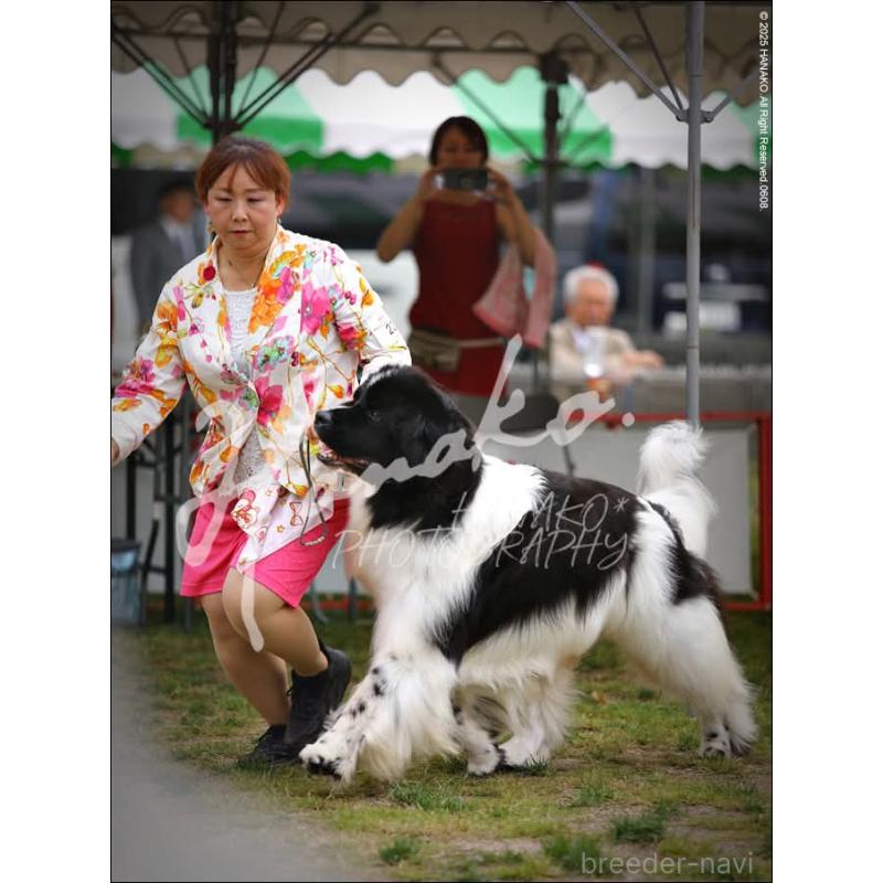 バロンくん1枚目