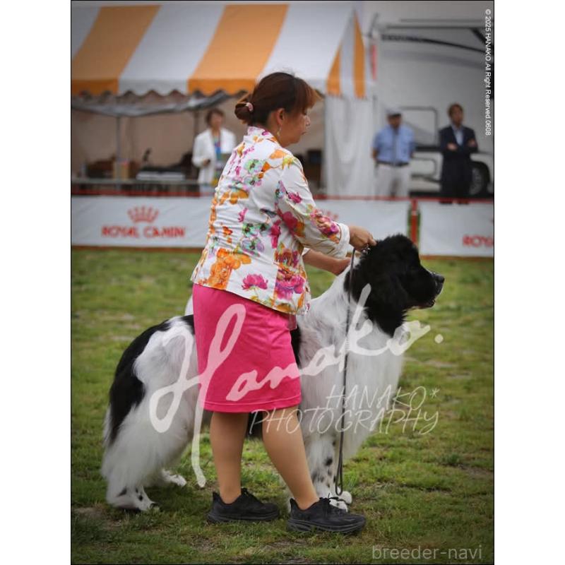 バロンくん1枚目