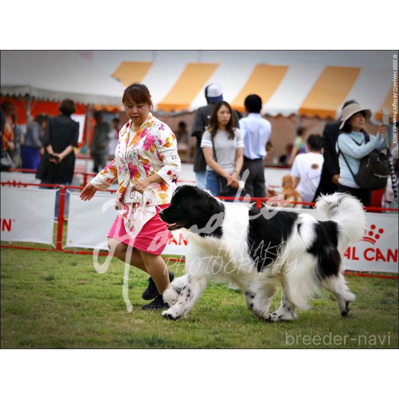 バロンくん1枚目