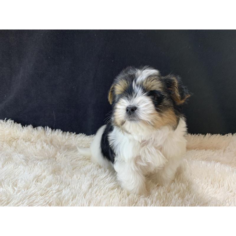 成約済の大分県のビューワーテリア-434157の22枚目