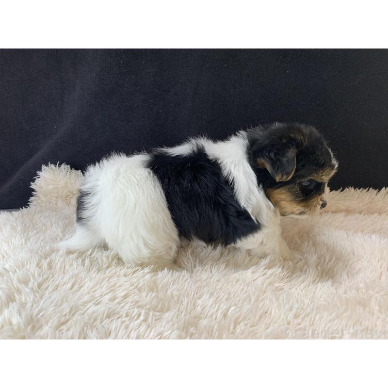 成約済の大分県のビューワーテリア-434157の20枚目