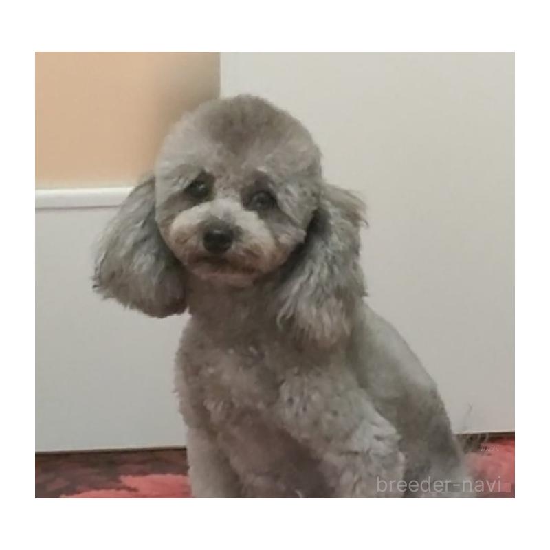 いぶきちゃん1枚目