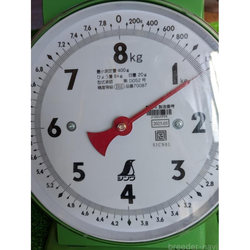 販売中の鹿児島県のゴールデンレトリーバー-438066の5枚目