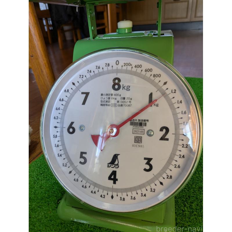 販売中の鹿児島県のゴールデンレトリーバー-438069の5枚目