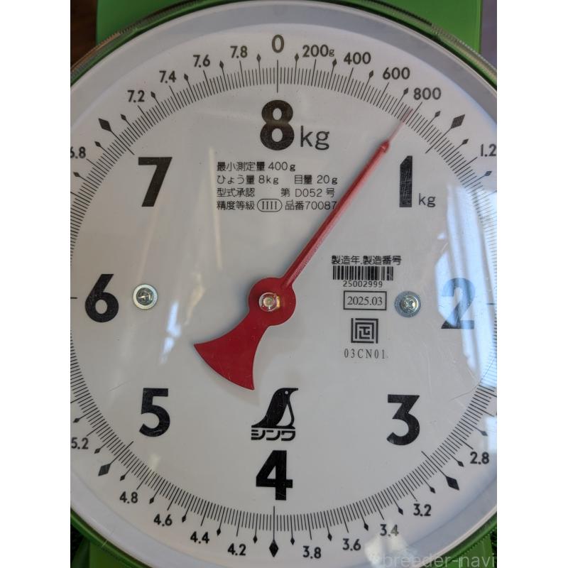 販売中の鹿児島県のゴールデンレトリーバー-438075の4枚目