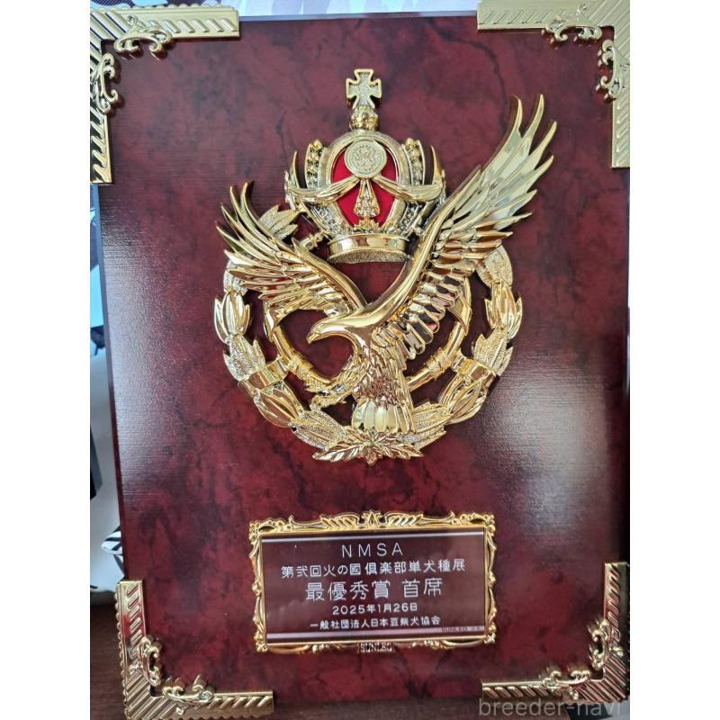 煌我(コウガ)くん1枚目