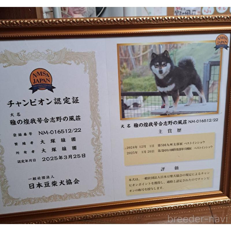 煌我(コウガ)くん1枚目