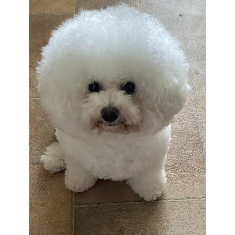 まりんちゃん1枚目