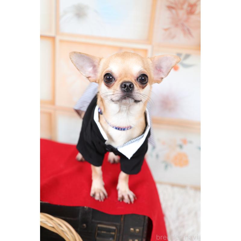 陽（よう）くん1枚目