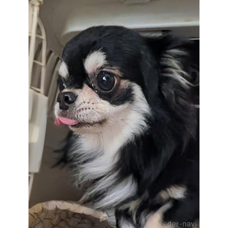 ミズキくん1枚目