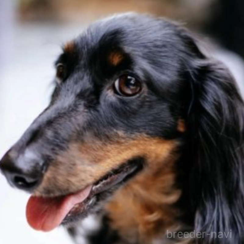 コープくん1枚目