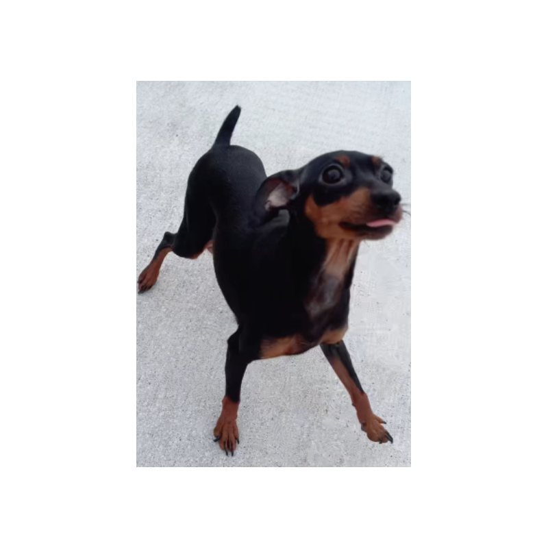 タイちゃん1枚目