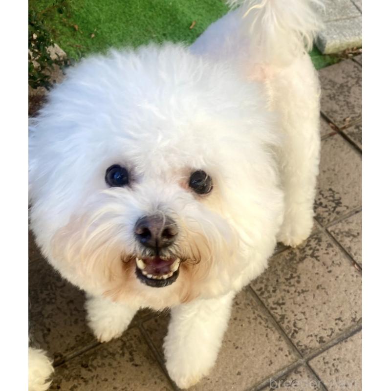 ましろちゃん1枚目