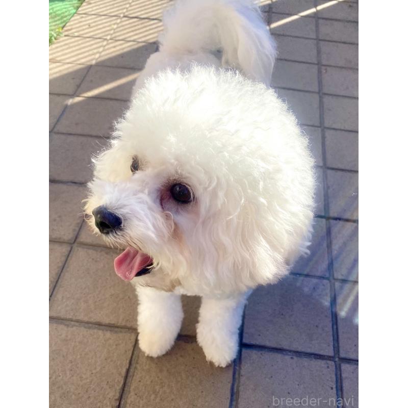 マリンちゃん1枚目