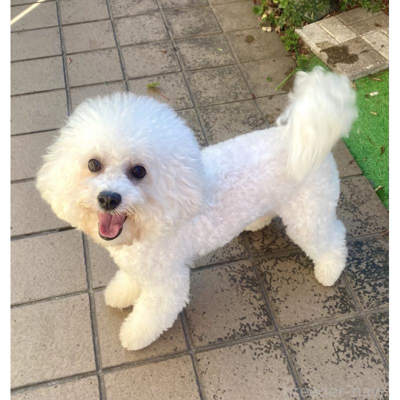 マリンちゃん1枚目