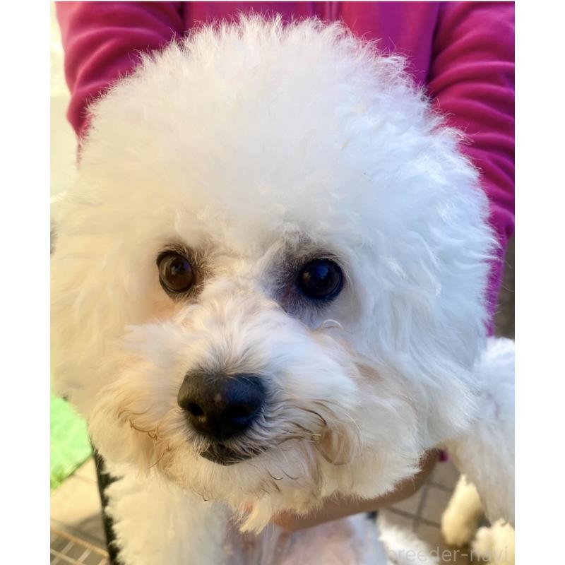 マリンちゃん1枚目