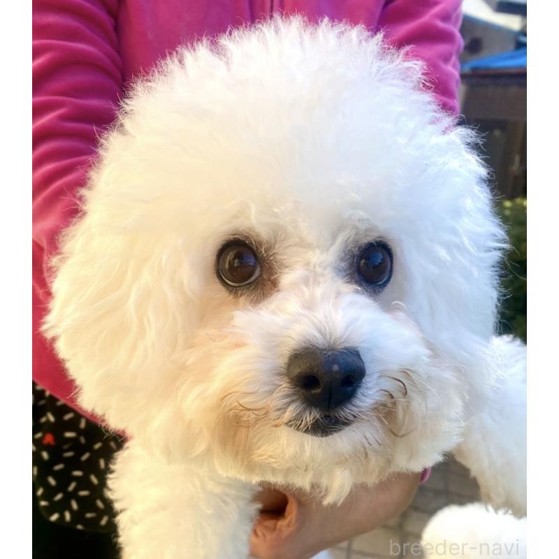 マリンちゃん1枚目