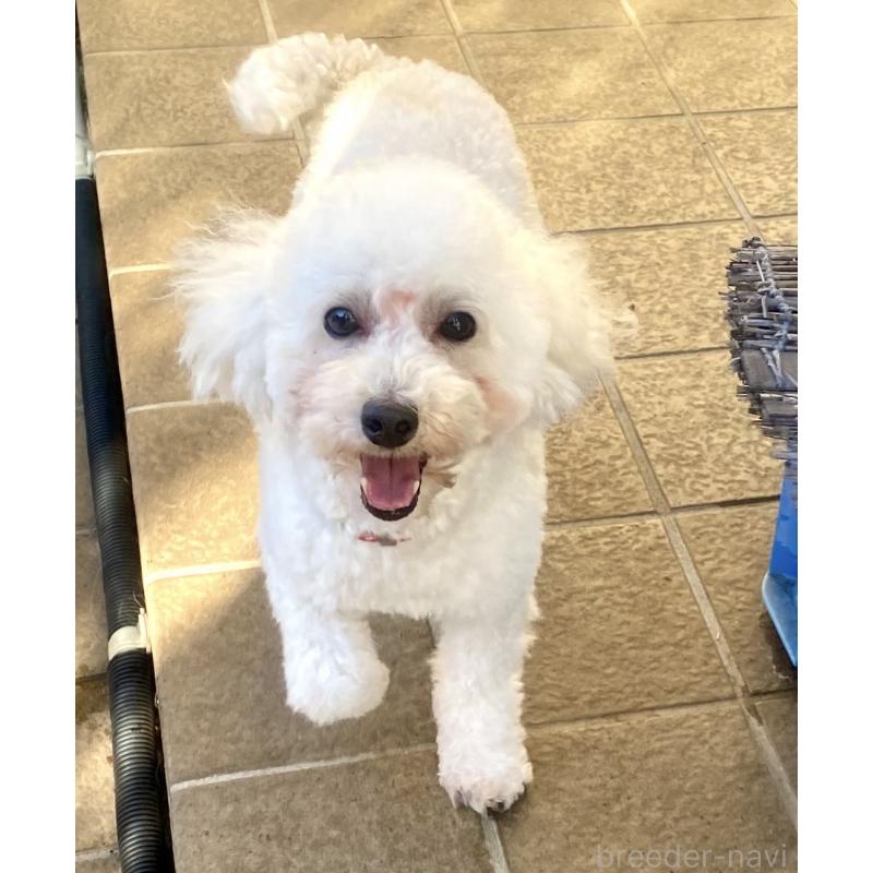 凛音ちゃん1枚目