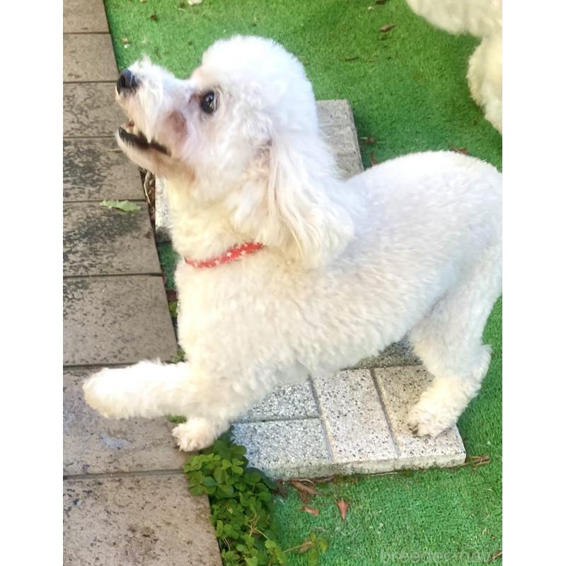 凛音ちゃん1枚目