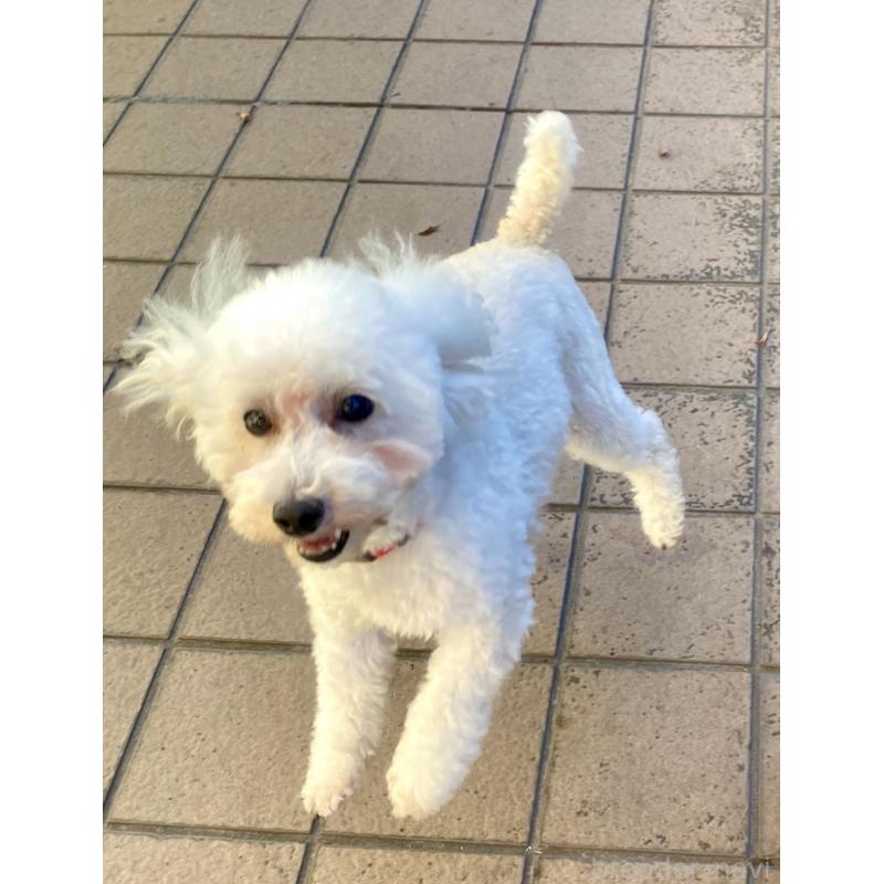 凛音ちゃん1枚目