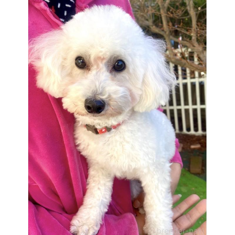 凛音ちゃん1枚目