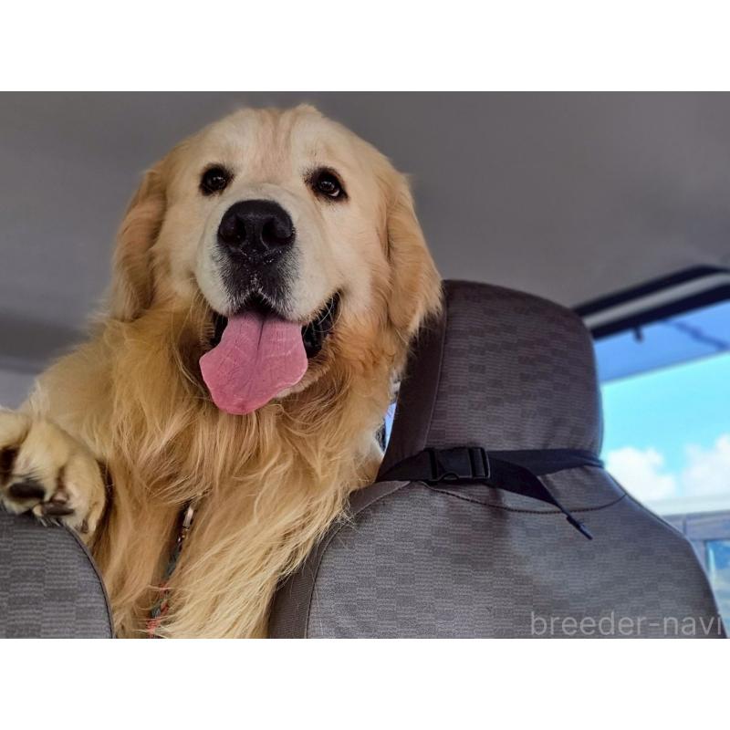 ラムネくん1枚目