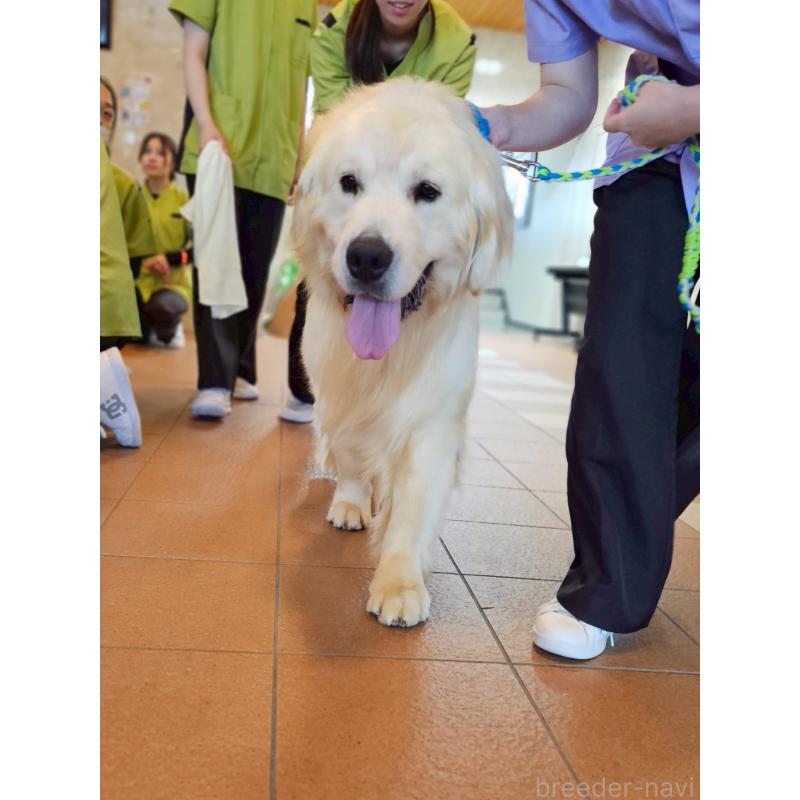 ラムネくん1枚目