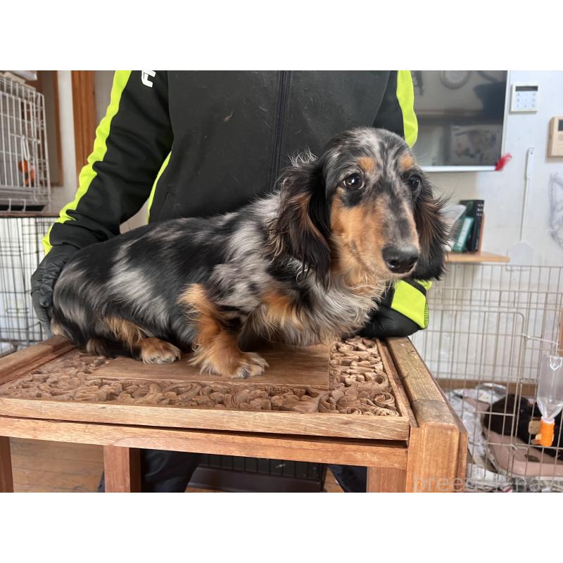 ゆうちゃん1枚目