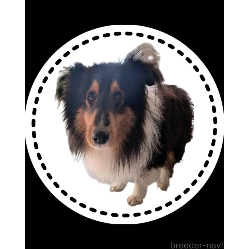 アルブルくん1枚目