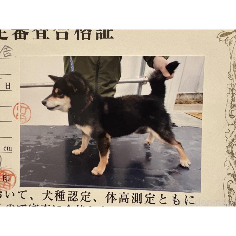 花恵号ちゃん1枚目