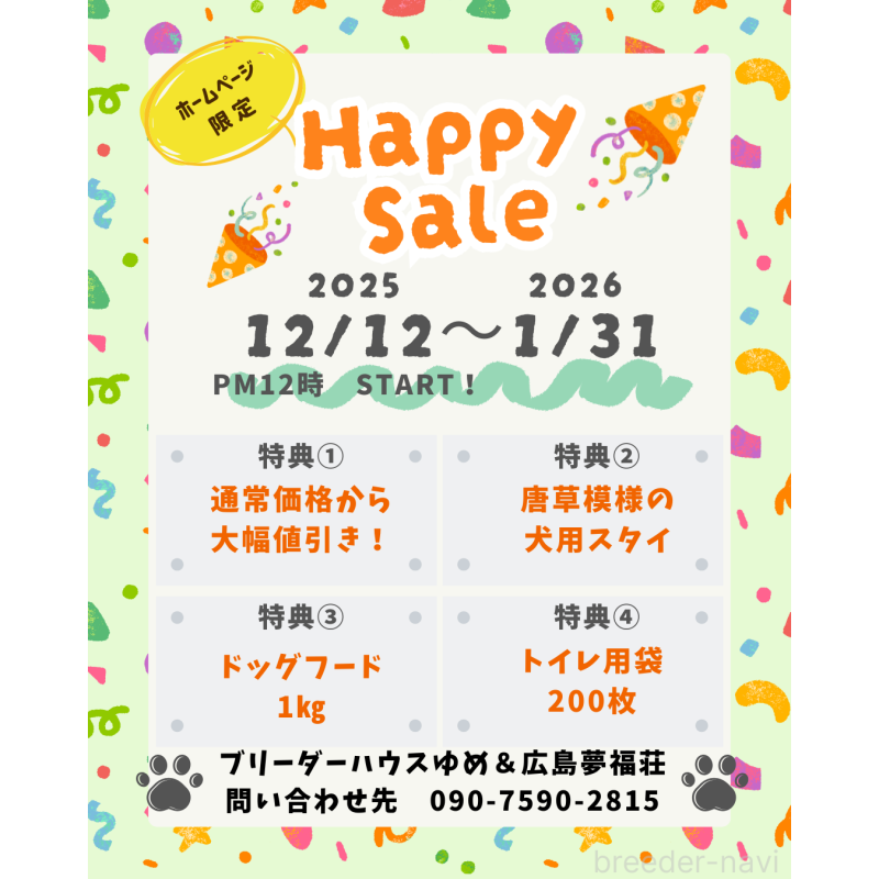販売中の広島県の豆柴-439527の2枚目