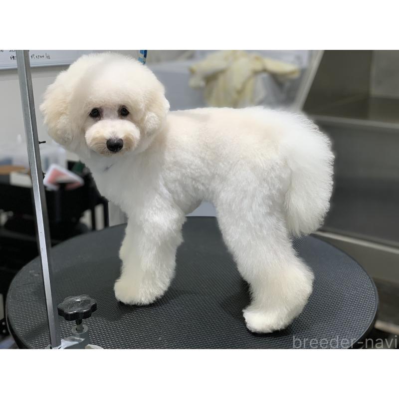 こまりちゃん1枚目