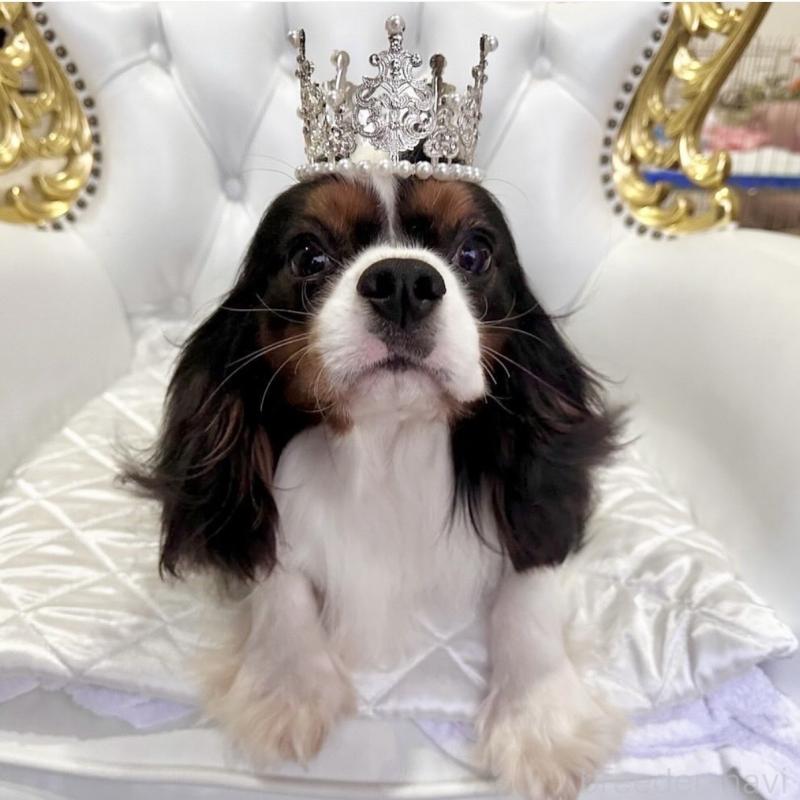 レン君くん1枚目