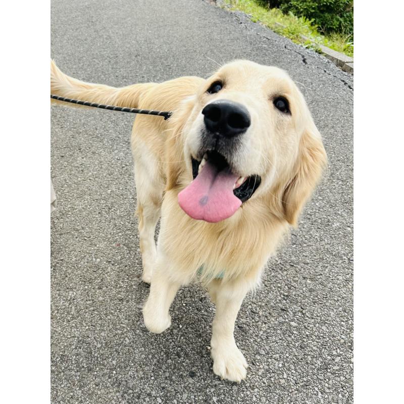 ポテトくん1枚目